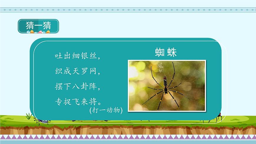 20《蜘蛛開店》第1課時(shí)-部編版語文二年級(jí)下冊(cè)課件PPT第2頁
