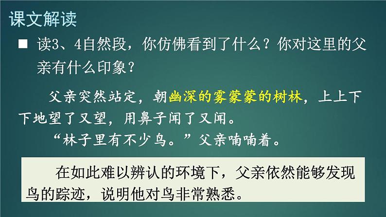 23 父亲、树林和鸟 课件-部编版语文三年级上册06