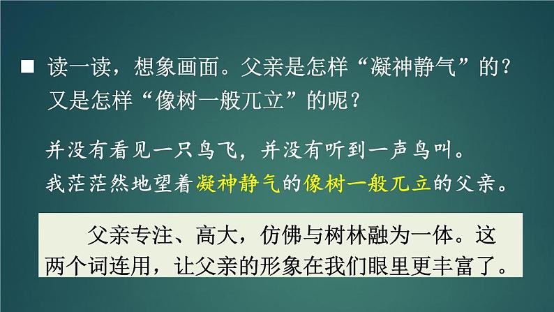 23 父亲、树林和鸟 课件-部编版语文三年级上册08