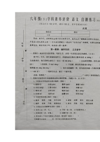 江苏省泰州市兴化市2022-2023学年六年级下学期期中语文试题