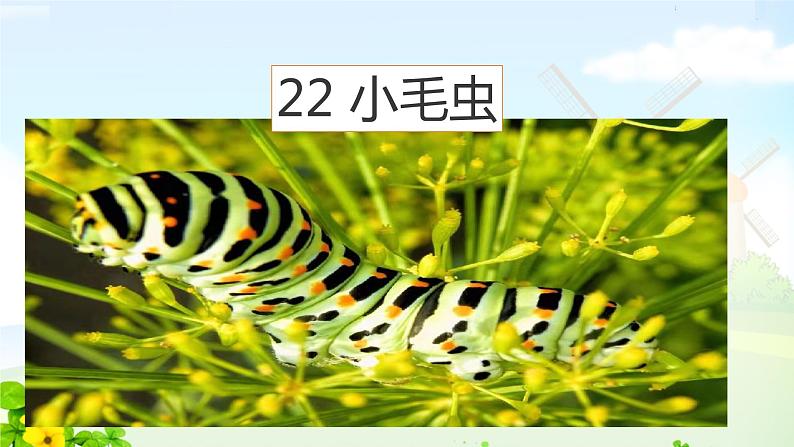 22《小毛虫》(第一课时)教学课件第4页