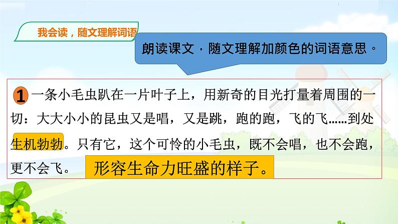 22《小毛虫》(第一课时)教学课件第8页