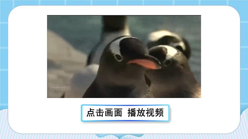 【部编版】二上语文 口语交际:有趣的动物(课件+教案)03