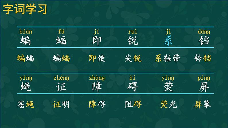 6 夜间飞行的秘密 课件-部编版语文四年级上册05