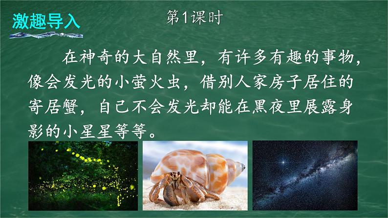 2 我是什么 课件-部编版语文二年级上册02