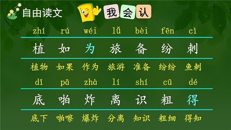 3 植物妈妈有办法 课件-部编版语文二年级上册03