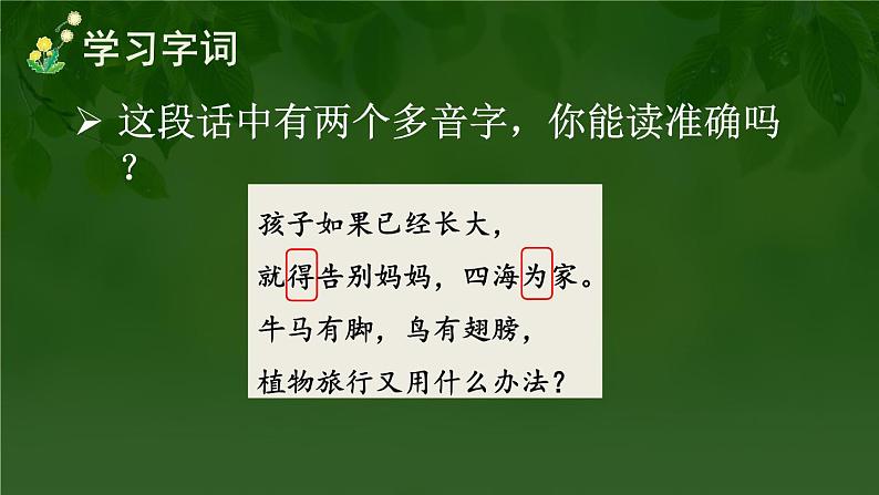 3 植物妈妈有办法 课件-部编版语文二年级上册08