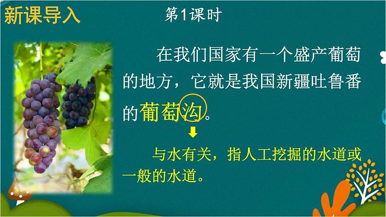 11 葡萄沟 课件-部编版语文二年级上册02