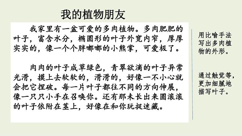 部编版语文小学三年级下册第一单元《习作:我的植物朋友》范文:我的植物朋友第1页