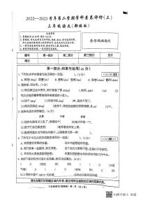 河北省邢台市南和区第二小学2022-2023学年三年级下学期第三次月考语文试题