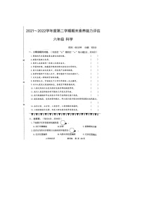 人教部编版六年级上册桥精品课时练习