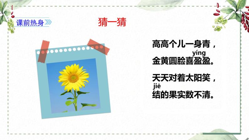 第一单元 习作： 我的植物朋友（课件）-2022-2023学年语文三年级下册同步作文（部编版）02