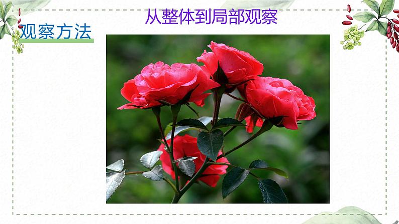 第一单元 习作: 我的植物朋友(课件)-2022-2023学年语文三年级下册同步作文(部编版)第8页