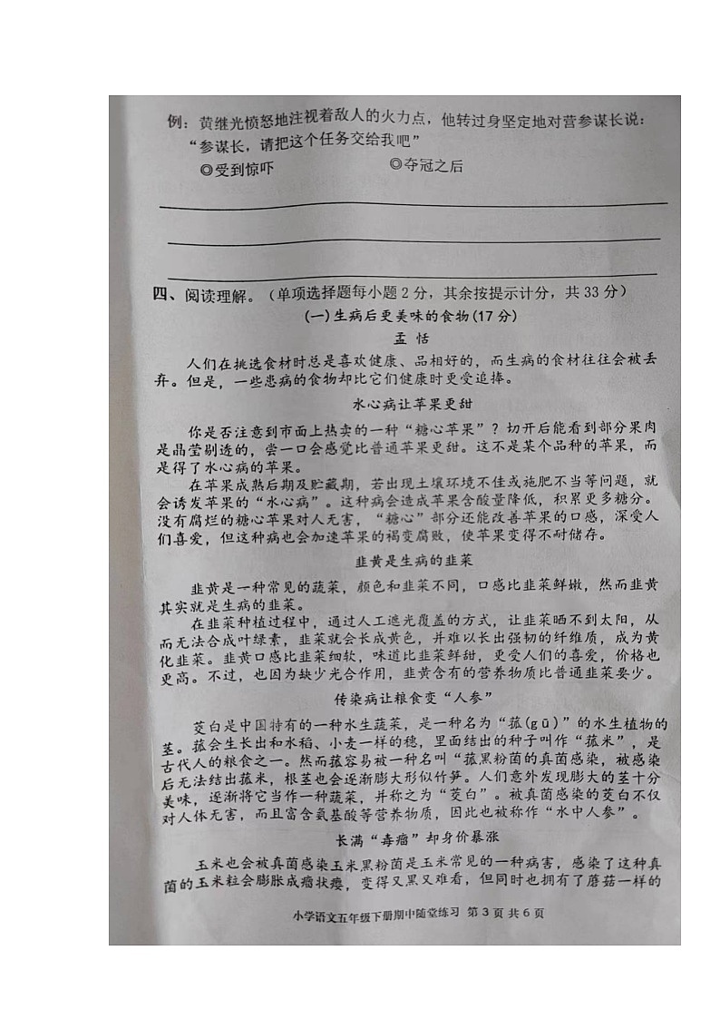 福建省龙岩市武平县2022-2023学年五年级下学期期中语文随堂练习第3页