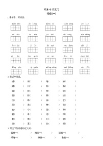 三年级下册语文部编版 期末专项词语训练（无答案）