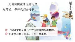 22《我们奇妙的世界》课件