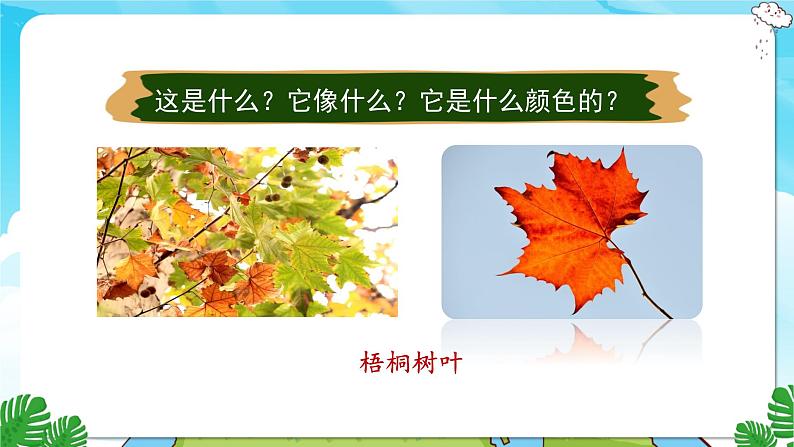 人教部编语文3上 第2单元 5.《铺满金色巴掌的水泥道》 PPT课件+教案+练习02