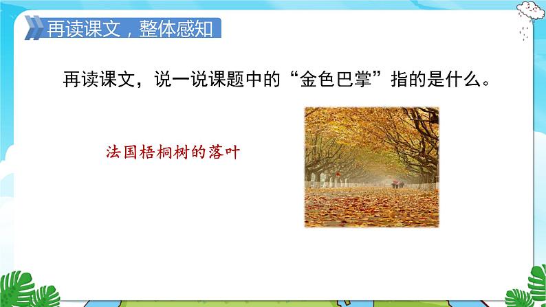 人教部编语文3上 第2单元 5.《铺满金色巴掌的水泥道》 PPT课件+教案+练习05