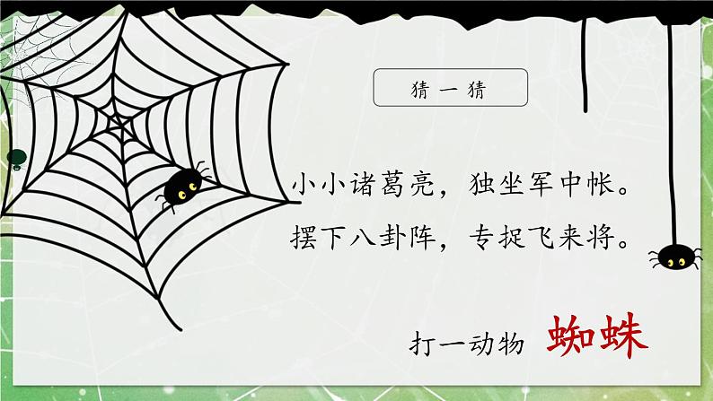 20 蜘蛛开店第1页