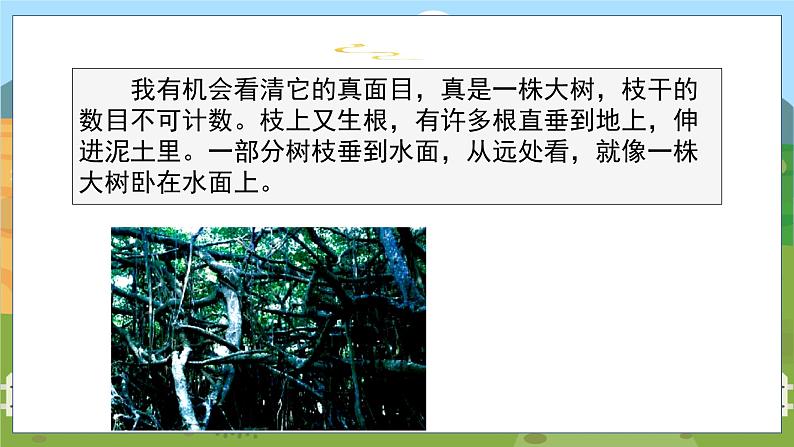 人教部编语文5上 第7单元 语文园地 PPT课件03