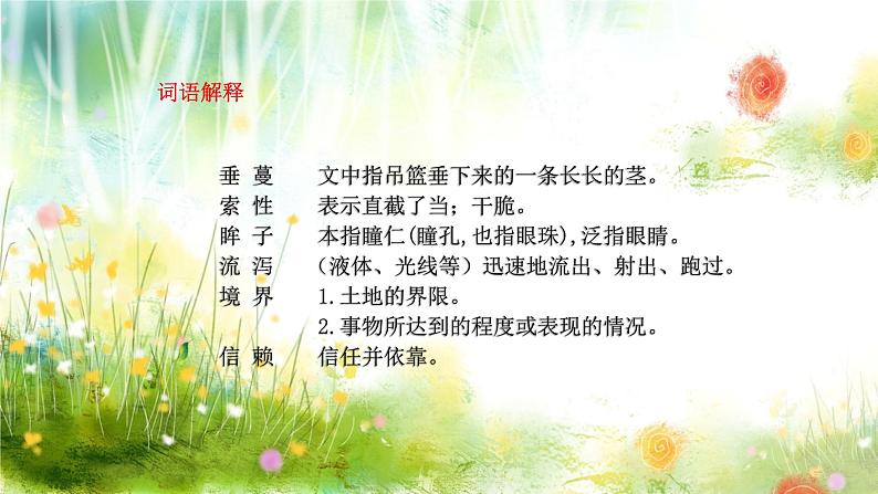 4珍珠鸟课件06