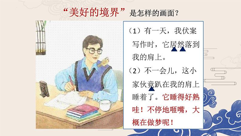 4.珍珠鸟 课件第6页