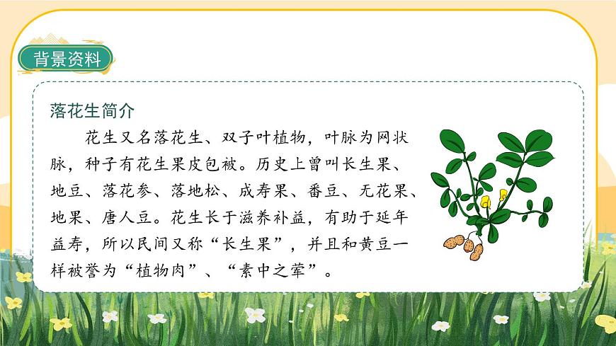2《落花生》課件PPT(部編版語文五上)第7頁