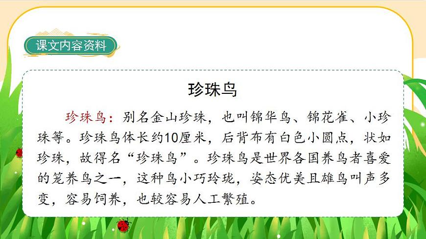4《珍珠鳥(niǎo)》課件PPT(部編版語(yǔ)文五上)第6頁(yè)