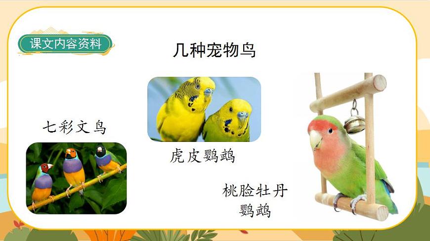 4《珍珠鳥(niǎo)》課件PPT(部編版語(yǔ)文五上)第8頁(yè)