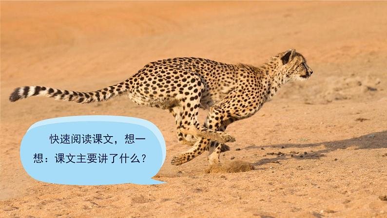 7《什么比猎豹的速度更快》课件PPT(部编版语文五上)03