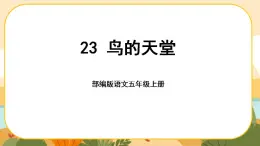 23《鸟的天堂》课件PPT(部编版语文五上)