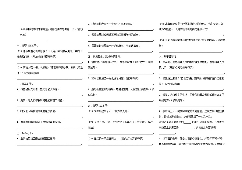 部编版语文五年级下册 期末句子专项练习(无答案)03