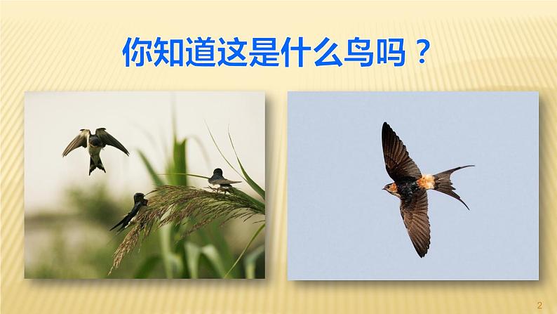 部编三年级下册《燕子》 课件第2页