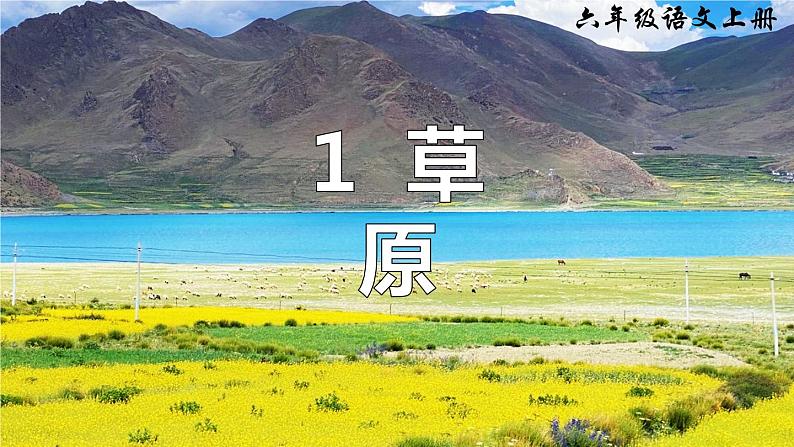 1.草原(一课时)课件PPT01