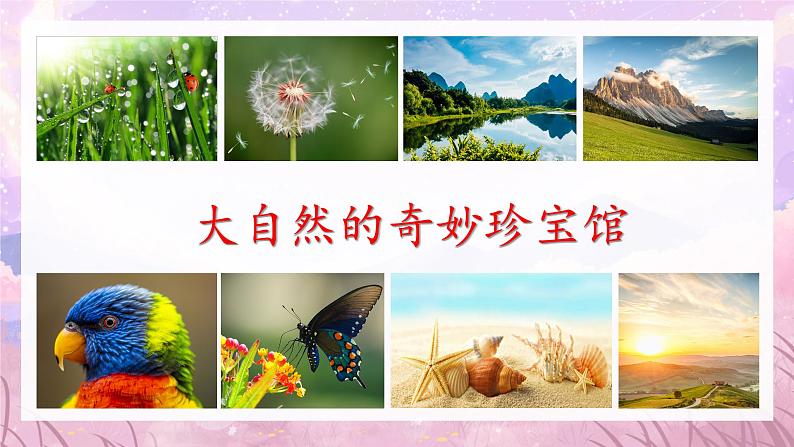 22 《我们奇妙的世界》课件ppt 三年级下02