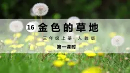 部编版语文三上 16 金色的草地（课件PPT）（课件PPT）