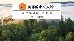 部编版语文三上 20 美丽的小兴安岭（课件PPT）