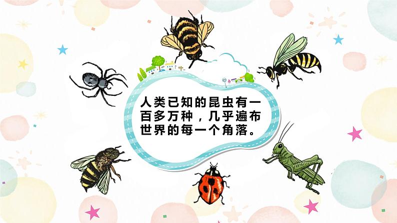 11 我是一只小虫子第一课时课件PPT第5页