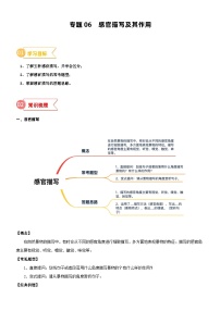 2023年部编版小升初六升七语文无忧衔接——专题06  拓展讲义：感官描写及其作用