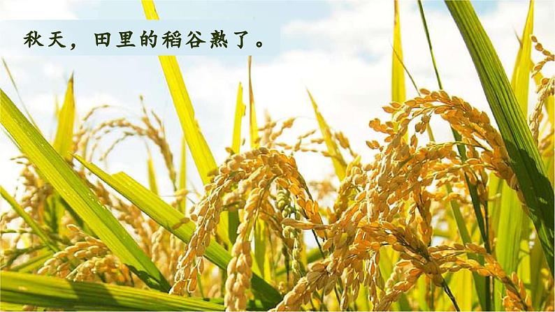 (教学课件)课文1 秋天第2页