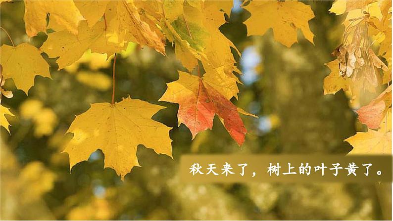 (教学课件)课文1 秋天第4页