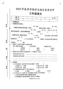 云南省昭通市昭阳区2022-2023学年三年级下学期期末综合素养语文试卷