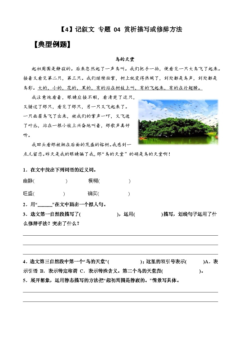 【暑假阅读】记叙文 专题 04 赏析描写或修辞方法（讲义+试题） 五年级语文 （含答案、解析）01