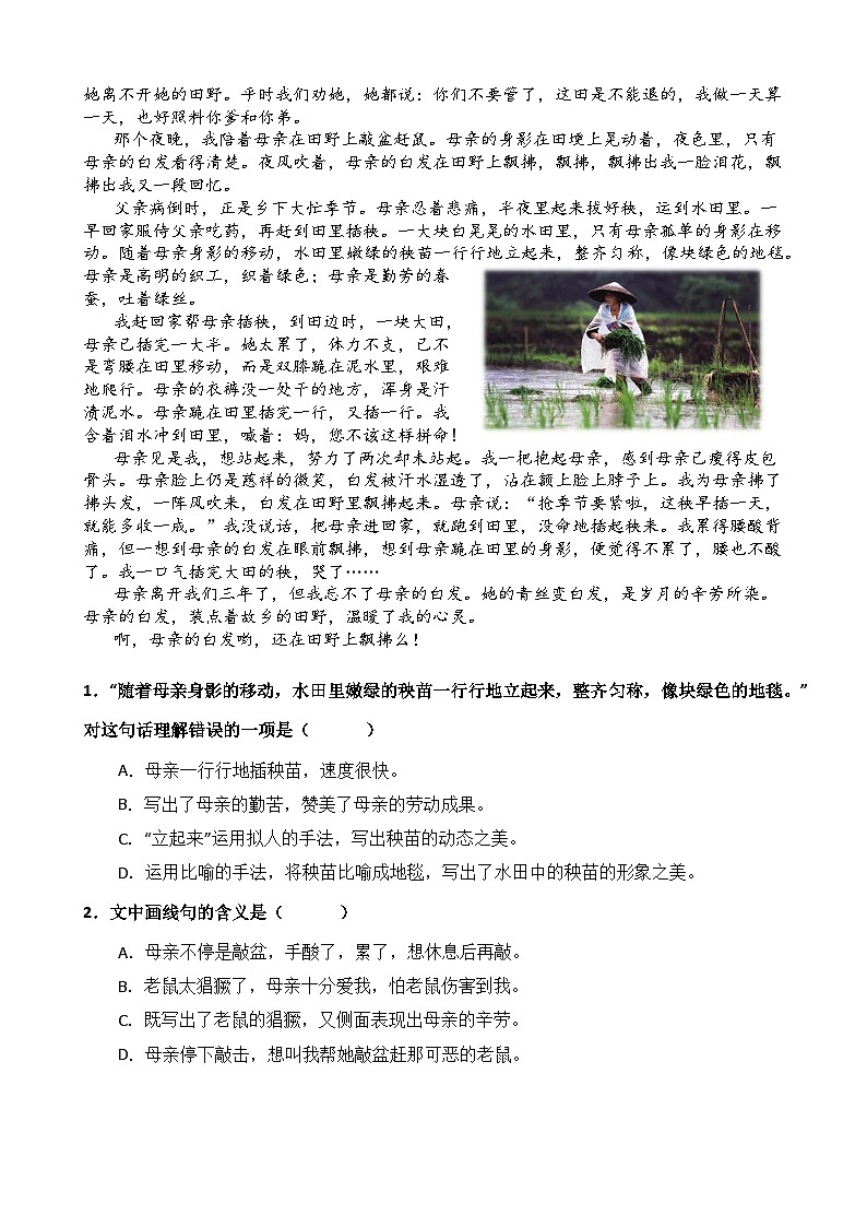 【暑假阅读】记叙文 专题 04 赏析描写或修辞方法(讲义+试题) 四年级语文 (含答案、解析)第3页