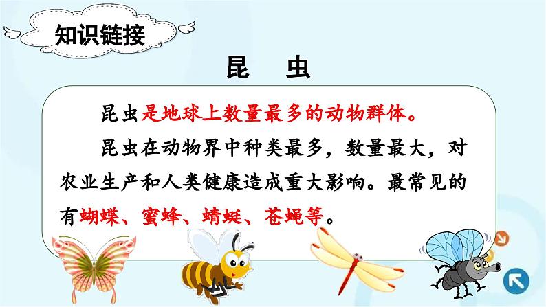 部编版语文二年级下册 11.我是一只小虫子 课件第4页