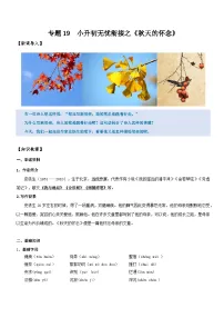 统编版语文小升初暑期提升讲练 专题19 同步讲义：《秋天的怀念》新课预习（原卷版+解析版）