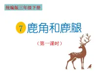 小学语文人教部编版三年级下册鹿腿课前预习ppt课件