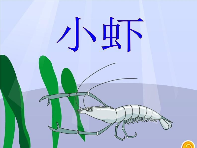 部编版三年级语文下册第15课《小虾》课件(定稿)第2页