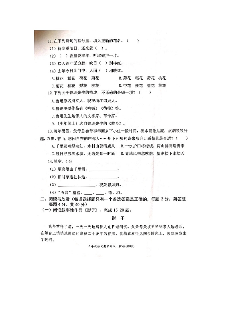 福建省宁德市寿宁县2022-2023学年六年级上学期期末测试语文试题第3页