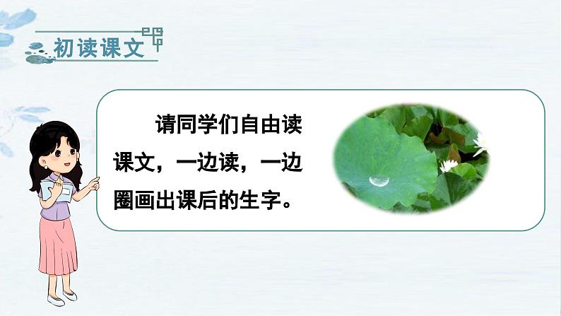 统编语文一年级下册(教学课件)12 荷叶圆圆第4页